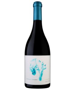 Summer Dreams Super Chill 2023 Pinot Noir